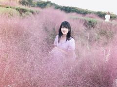 -大塘金香草谷