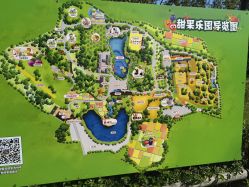 -甜果乐园