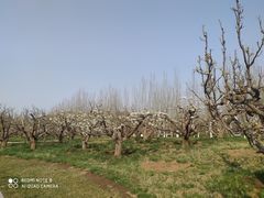 -南开大学(津南校区)