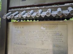-团结湖公园