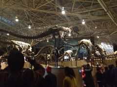 iphone_upload_pic-世界恐龙谷景区