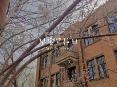 -桃花堤公园