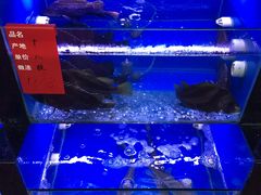 -阳光海鲜大排档