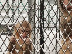 -藏龙百瀑风景区