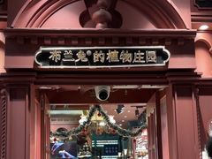 -布兰兔的植物庄园(杭州南宋御街店)