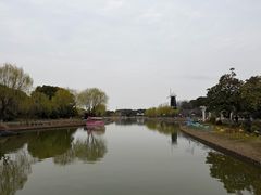 -上海鲜花港
