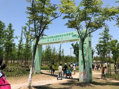 -上海长兴岛郊野公园