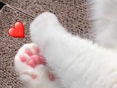 -海底捞火锅(杭州庆春路夜宵主题店)