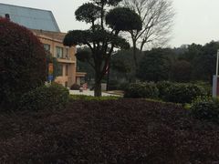 -咸宁万豪温泉谷度假区