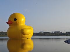 -深圳湾公园(南山区)