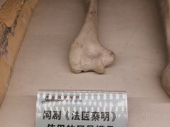 -清风小镇闯关东影视基地