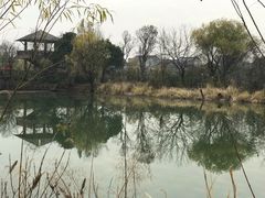 -长兴太湖图影湿地文化园