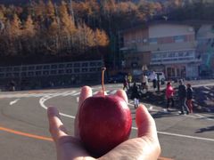 -富士山吉田線五合目