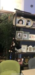 点击看大图 -染墨儿童摄影(转塘店)