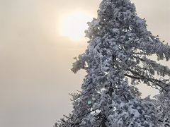 -黄山光明顶山庄