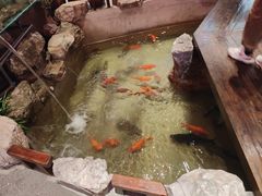 -好灶头妈妈菜·柴火灶台鱼·千岛湖土菜地标美食
