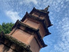 -碧峰峡风景区