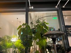 -gaga(深圳南山益田假日广场店)