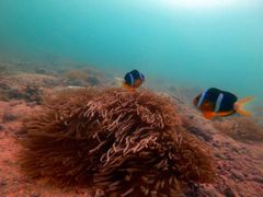 -西涌国际滨海旅游区