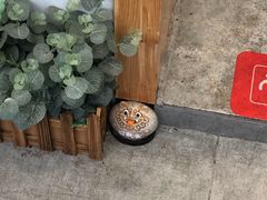 -呷贺盐酥鸡(抄纸巷店)