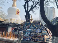 -护国法轮寺