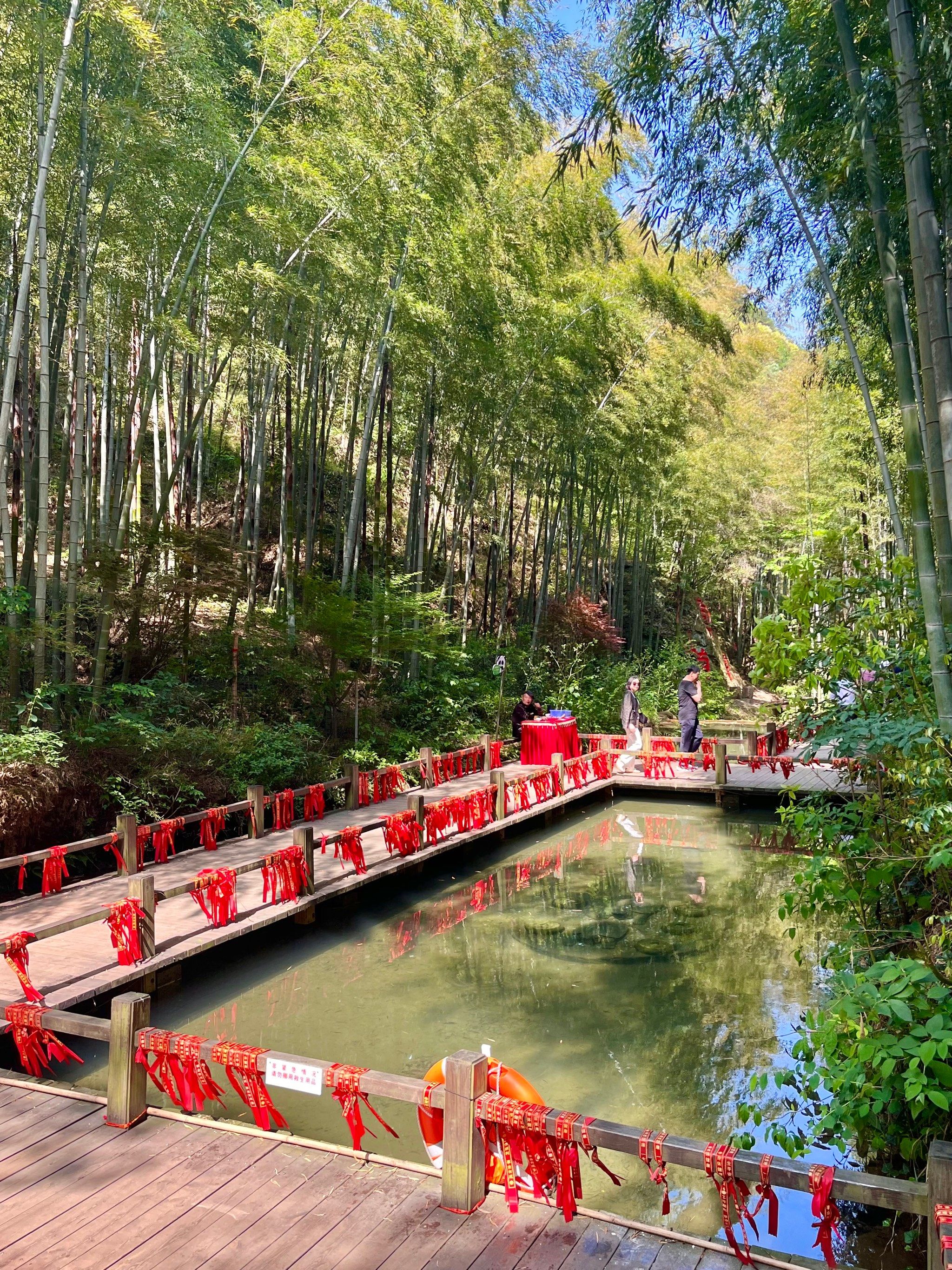 五一去哪玩还没想好?这份南山竹海游玩攻略码