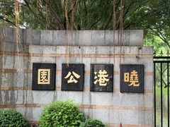 -晓港公园