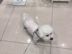 -悦宠凯宝动物医院·牙科·皮肤科(朝阳北路店)