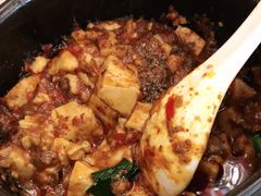 -陈麻婆豆腐总店