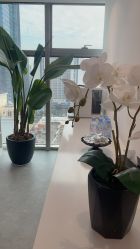 -芙芬芳·半永久纹眉（深圳旗舰店）