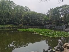 -高尔山公园