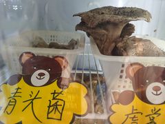 -菌之家·专业纯野生菌火锅·特色炒菌