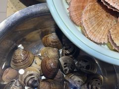 -蓝珊瑚蒸汽海鲜餐厅(龙奥店)
