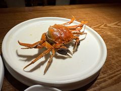 -张家卫·阳江菜·小海鲜(肥婆湾桥店)