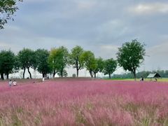 -汉长安城未央宫国家考古遗址公园