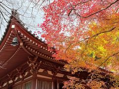 -醍醐寺