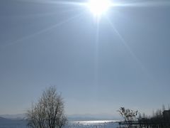 -才村湿地公园