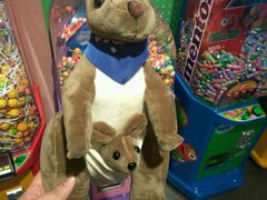 -PAWTOY爪e玩偶店(天兴罗斯福店)