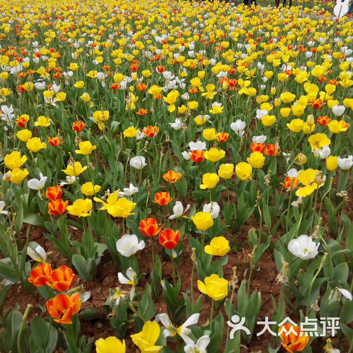 湖南省森林植物園