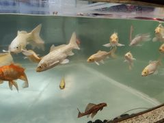 -中影国际影城(兰生大厦CINITY LED店)