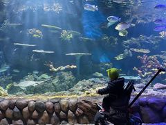 -华夏文旅海洋公园