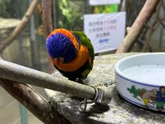 -上海大自然野生昆虫馆(东方明珠·爬宠昆虫探索中心)