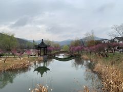-石塘人家