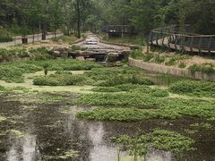 -白水寺森林公园