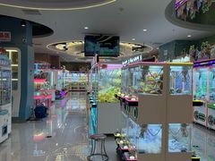 -汤姆熊欢乐世界 · 弹珠机(销品茂店)
