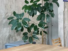 -VOYAGE COFFEE 咖啡烘焙工坊店(798艺术区店)