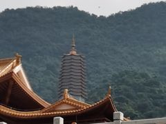 -深圳仙湖植物园