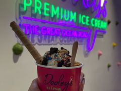 -Dooley's Premium Ice Cream
