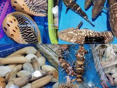 -四川小胡子海鲜(丁村万人海鲜广场店)