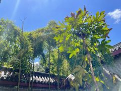 -湖南湘都生态农业园